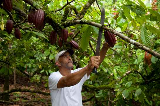 fair trade sustainable trade Veltrona Trust Bank